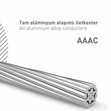 All Aluminium Alloy Conductors